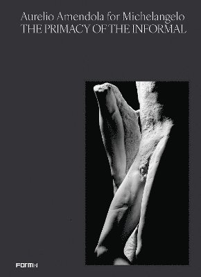 bokomslag Aurelio Amendola for Michelangelo