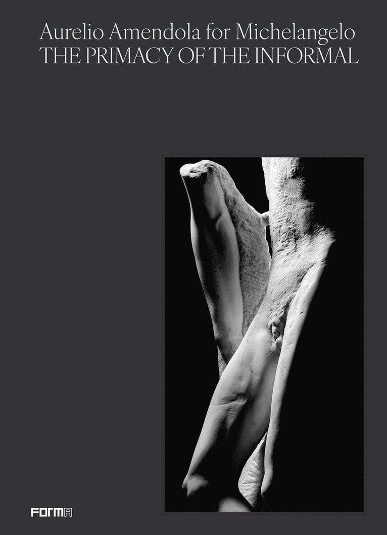 Aurelio Amendola, Antonio Natali - Aurelio Amendola for Michelangelo, Häftad