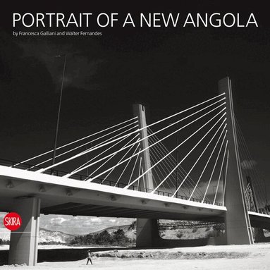Walter Fernandes, Rita Galliani, Laura Villani - Portrait of a New Angola, Inbunden