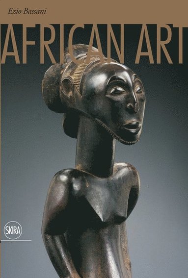 bokomslag African Art