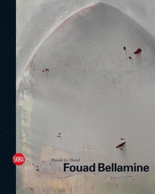 Fouad Bellamine 1