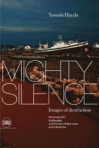 bokomslag Mighty Silence