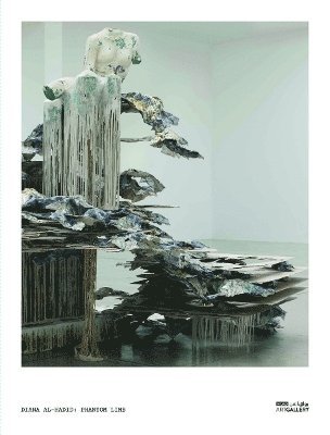 bokomslag Diana Al-Hadid