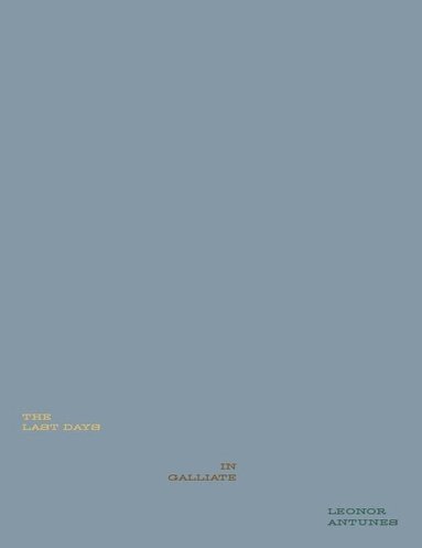 Roberta Tenconi, Roberta Tenconi - Leonor Antunes: The Last Days in Galliate, Inbunden