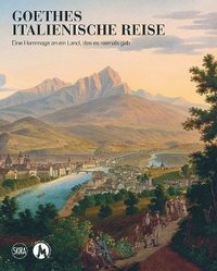 bokomslag Goethes Italienische Reise (Italian/German edition)
