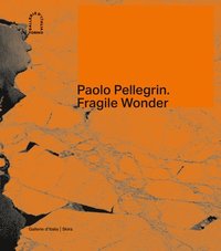 bokomslag Paolo Pellegrin