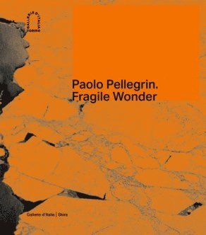 Walter Guadagnini - Paolo Pellegrin, Inbunden