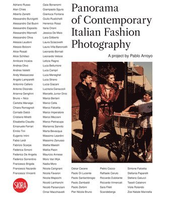 bokomslag Panorama of Contemporary Italian Fashion Photography (Bilingual edition)