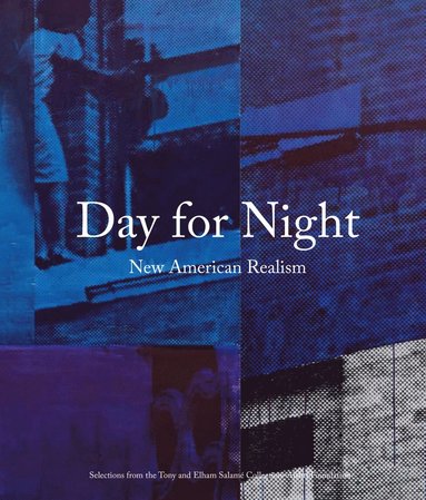 bokomslag Day for Night: New American Realism