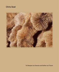bokomslag Chris Soal