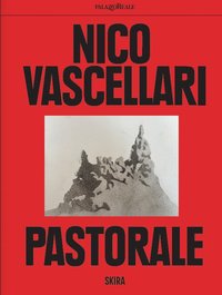 bokomslag Nico Vascellari (Bilingual edition)