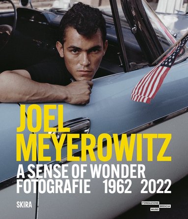 Denis Curti, Denis Curti - Joel Meyerowitz: A Sense of Wonder (Bilingual edition), Inbunden