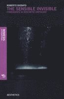 Roberto Diodato - Sensible Invisible, Häftad
