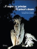 bokomslag Il Sogno del Principe/The Prince's Dream: Il Parco Mediceo Di Pratolino/The Medici Park At Pratolino [With DVD]