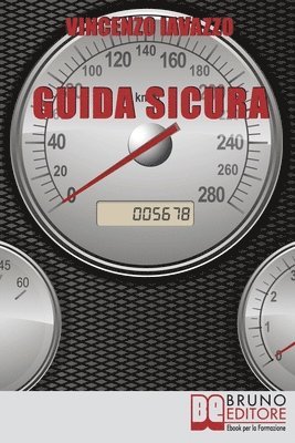 Guida Sicura 1