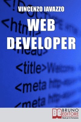 Web Developer 1