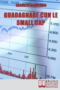 bokomslag Guadagnare con le Small Cap