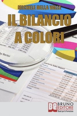 bokomslag Il Bilancio a Colori