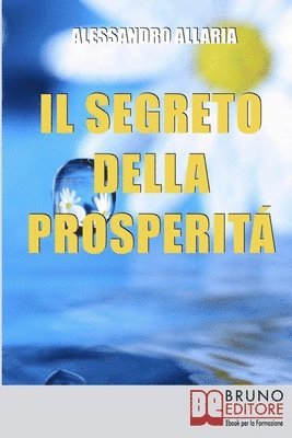 bokomslag Il Segreto della Prosperita