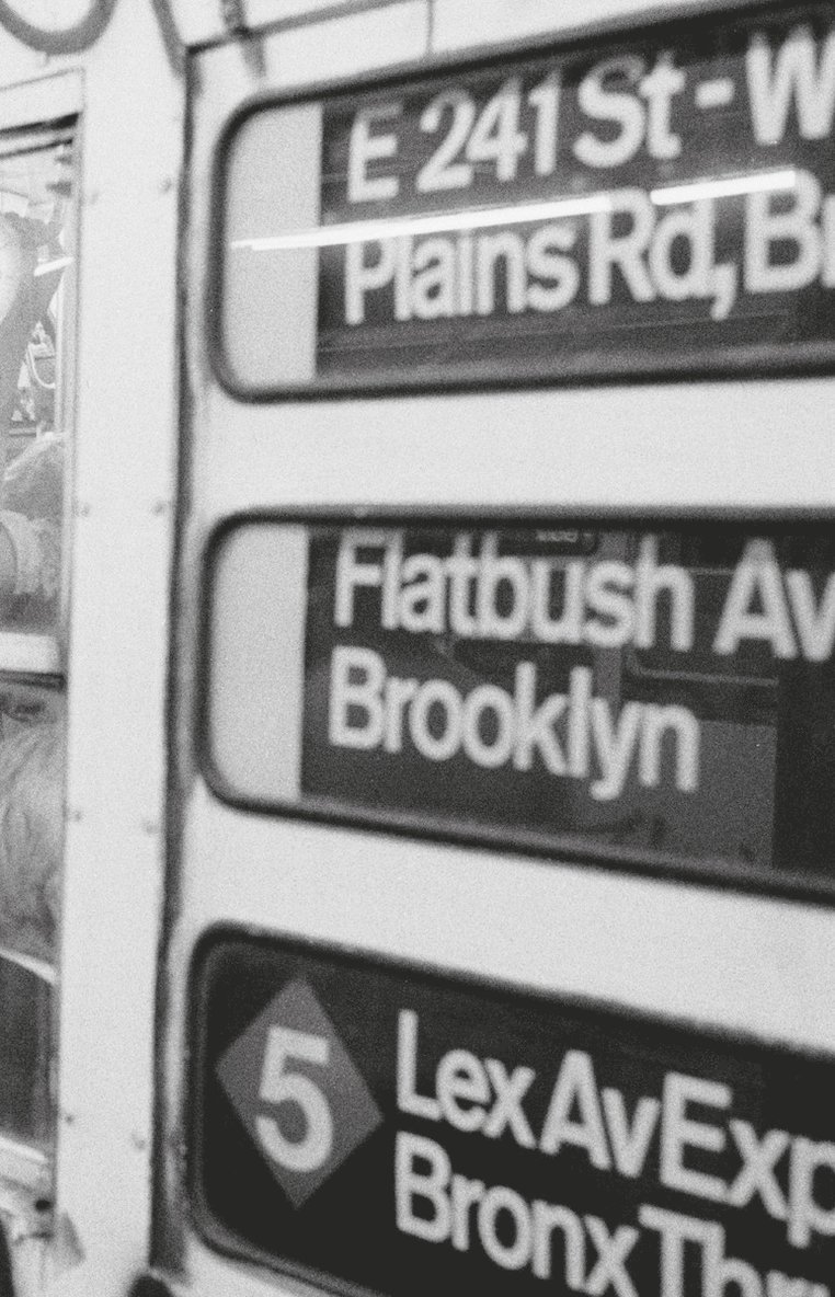 Brian Young - Train NYC, Inbunden