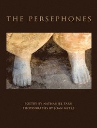 bokomslag The Persephones