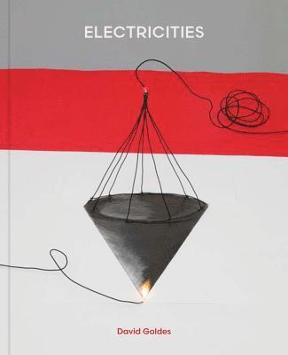 David Goldes: Electricities 1