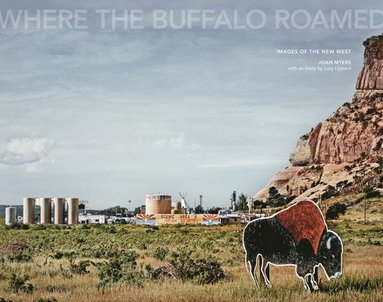 bokomslag Joan Myers: Where the Buffalo Roamed