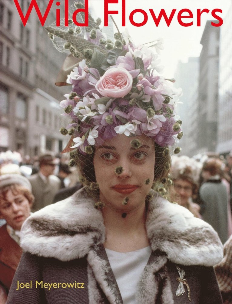 Joel Meyerowitz: Wild Flowers 1