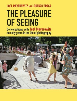 bokomslag Pleasure of Seeing