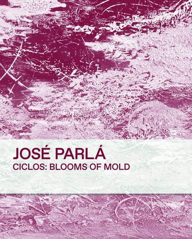 bokomslag Ciclos: Blooms of Mold