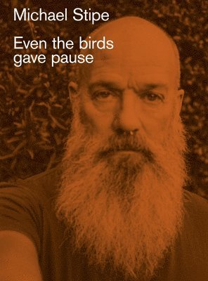 bokomslag Michael Stipe: Even the birds gave pause