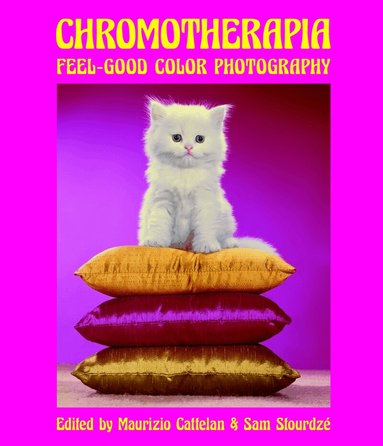 Maurizio Cattelan, Sam Stourdzé - Chromotherapia, Inbunden