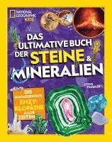 bokomslag Das ultimative Buch der Steine & Mineralien