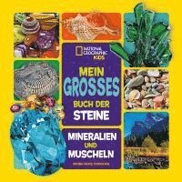 bokomslag Mein großes Buch der Steine, Mineralien und Muscheln