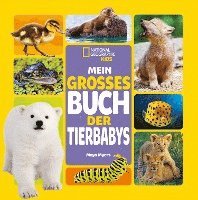 bokomslag Mein großes Buch der Tierbabys