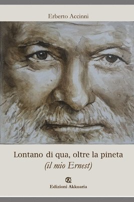 bokomslag Lontano di qua, oltre la pineta: (il mio Ernest)