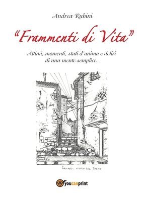 bokomslag Frammenti di vita. Attimi, momenti, stati d'animo e deliri di una mente semplice