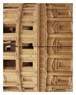 Stefano Graziani: Documents on Raphael