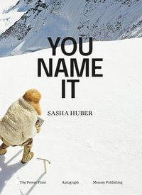 bokomslag Sasha Huber - You Name It