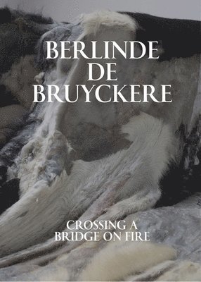 Berlinde De Bruyckere: Crossing a Bridge on Fire 1