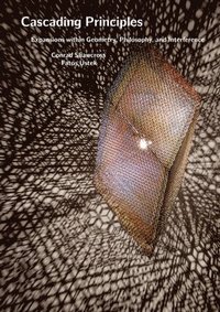 bokomslag Conrad Shawcross: Cascading Principles: Expansions Within Geometry, Philosophy, and Interference