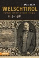 bokomslag Welschtirol