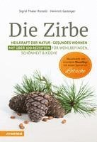 Die Zirbe 1