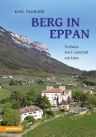 Berg in Eppan 1