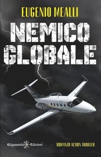 bokomslag Nemico globale