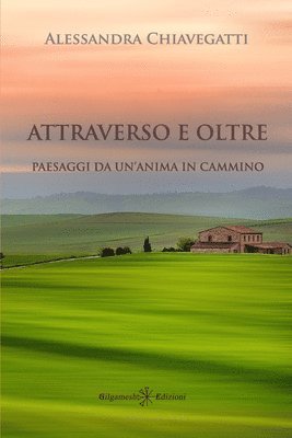 Alessandra Chiavegatti - Attraverso e oltre, Häftad