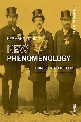 bokomslag New Phenomenology