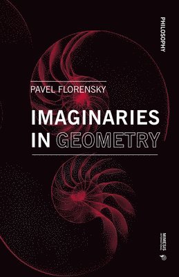 bokomslag Imaginaries in Geometry