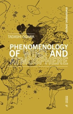 bokomslag Phenomenology of Wind and Atmospheres