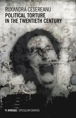 bokomslag Political Torture in the Twentieth Century